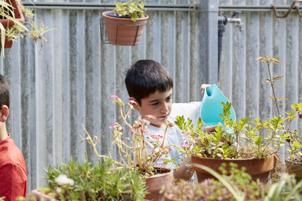 Huerto en casa : Una actividad enriquecedora para los niños 1 huerto en casa