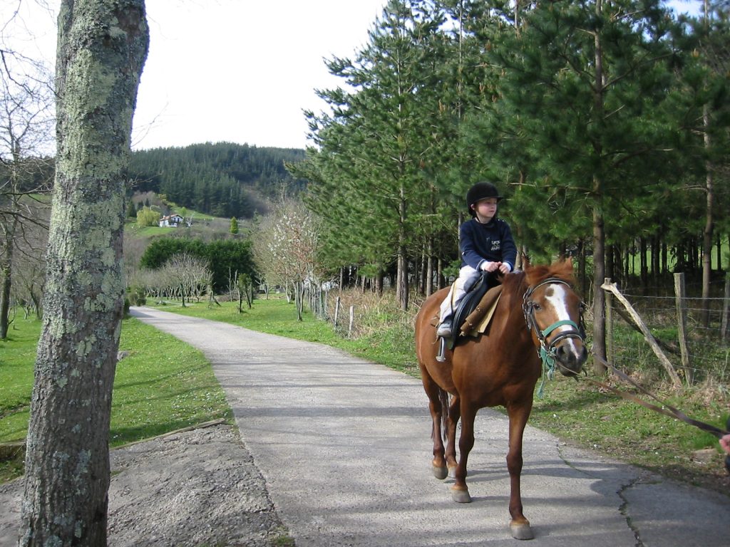 Vacaciones en granjas: Una aventura de aprendizaje y diversión 17 vacaciones en granjas