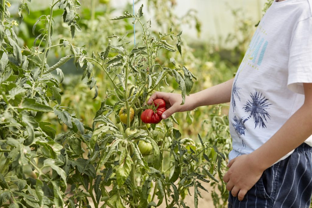 La inteligencia naturalista: ¿qué es y cómo se desarrolla? 12 inteligencia naturalista