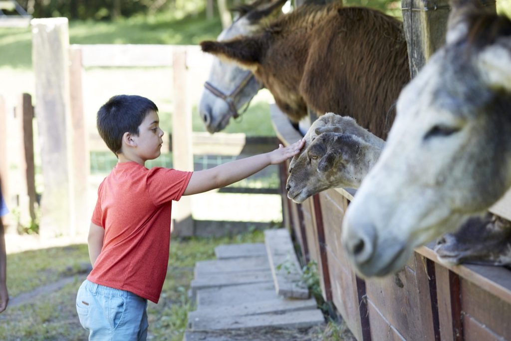 Campamentos de Verano en Inglés 4 campamentos de verano