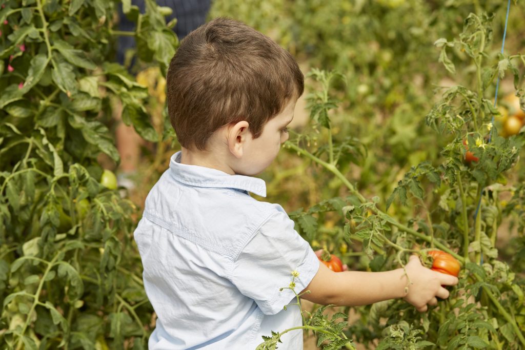 Cómo mejorar la inteligencia visual en los niños. 6 inteligencia visual en los niños