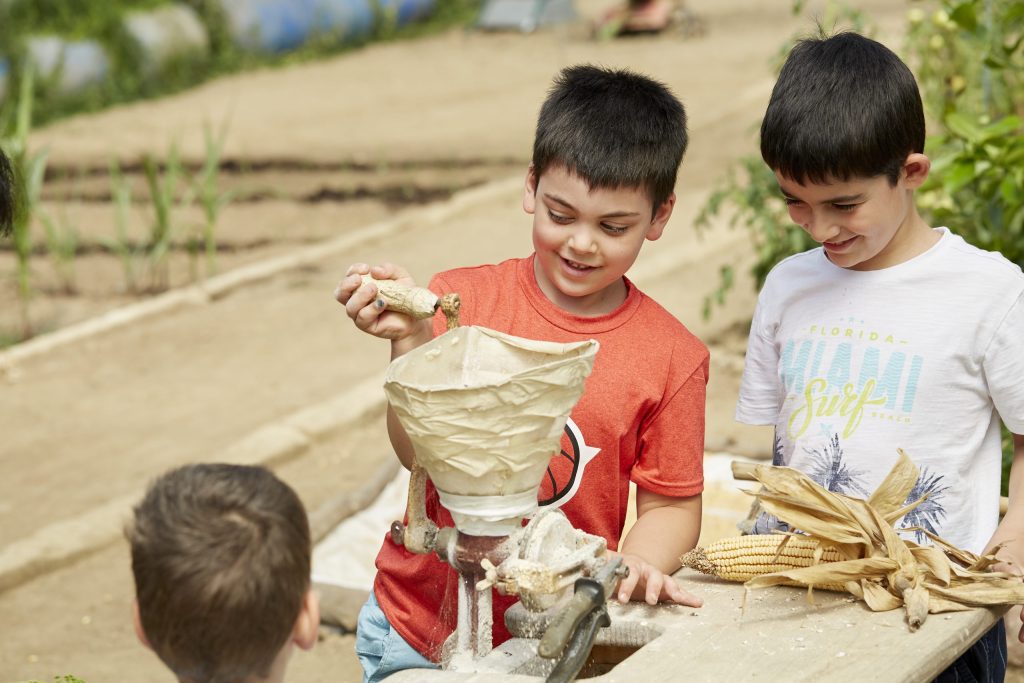 desperdicio cero en la alimentación