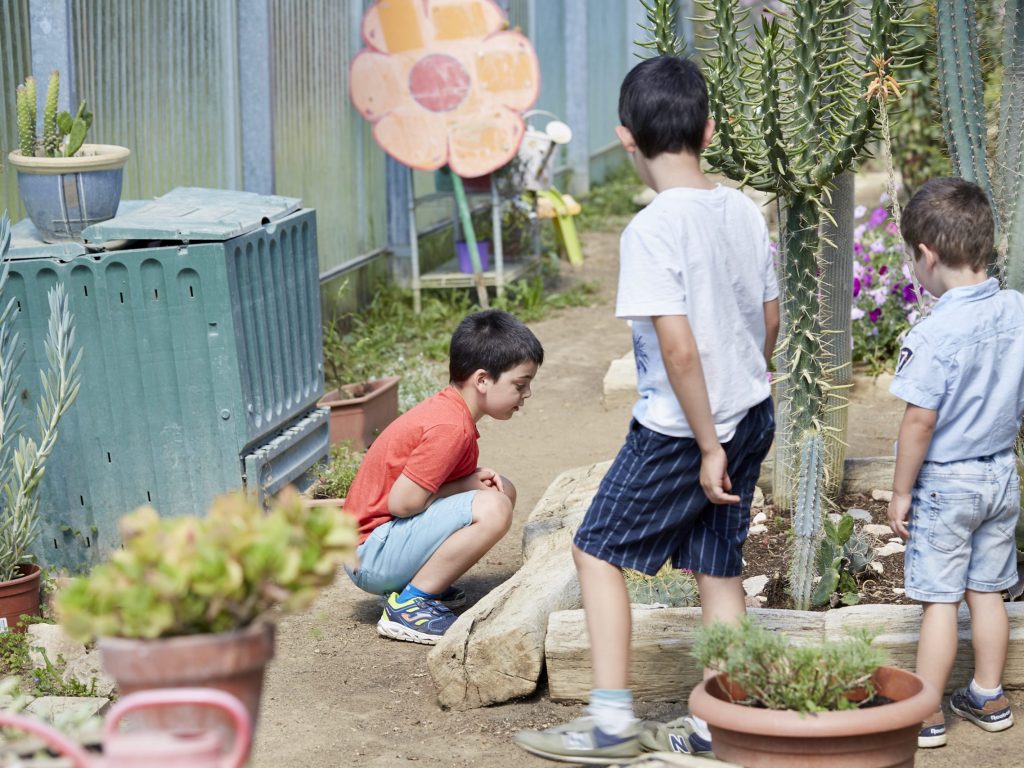 campamento de verano ambiental